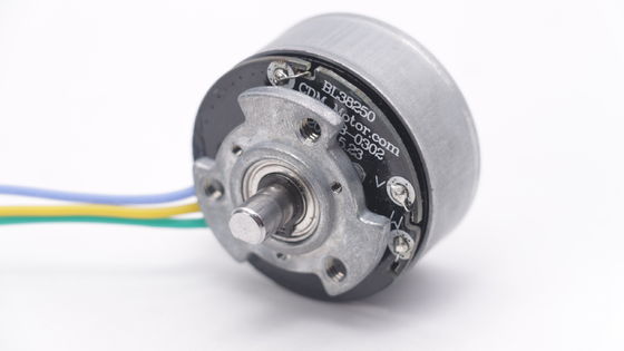 DBL3825 12V 24V BLDC Motor de Alto Torque Arma Fascial Mini DC Motor Sem escovas