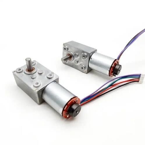 Motor de engrenagem de minhoca de alta torque DC Motor de auto-bloqueio com codificador